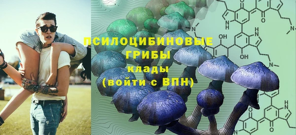 apvp Абинск